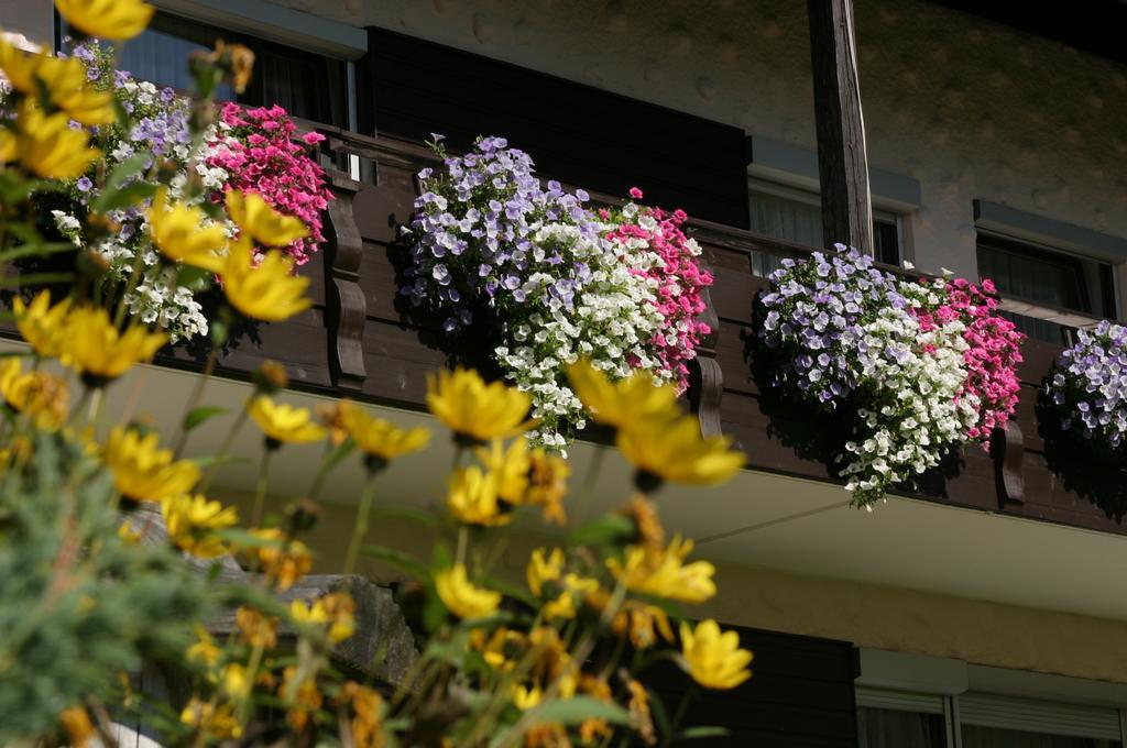 Hubertushof Apartment Юнгхолц Екстериор снимка